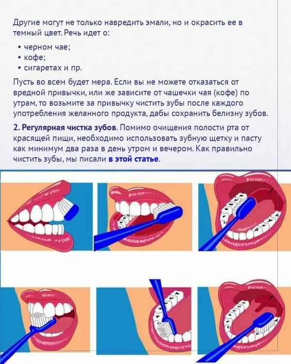 Как правильно 2. Схема правильной чистки зубов. схема правильно чистим зубы. правильная чистка зубов. какпровельно чистить зубы.