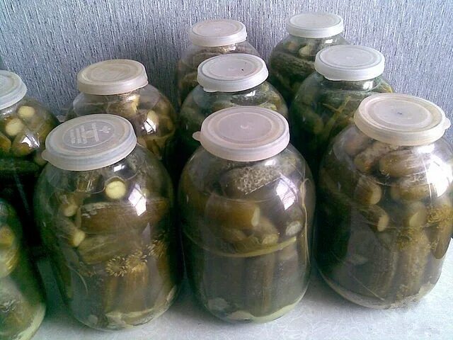 Огурцы под капроновой крышкой. Огурцы кольцами под капроновую крышку. Соленые огурцы капроновую крышку. Соленые огурцы капроновую крышку. Огурцы под капроновой крышкой.