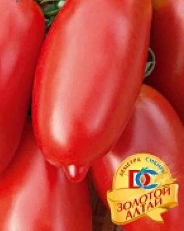 Уральский дачник семена томатов каспар. Сорт помидор трюкач. Томат третьяковский f1 уд. Томат каскадер семена. Помидоры каскадер.