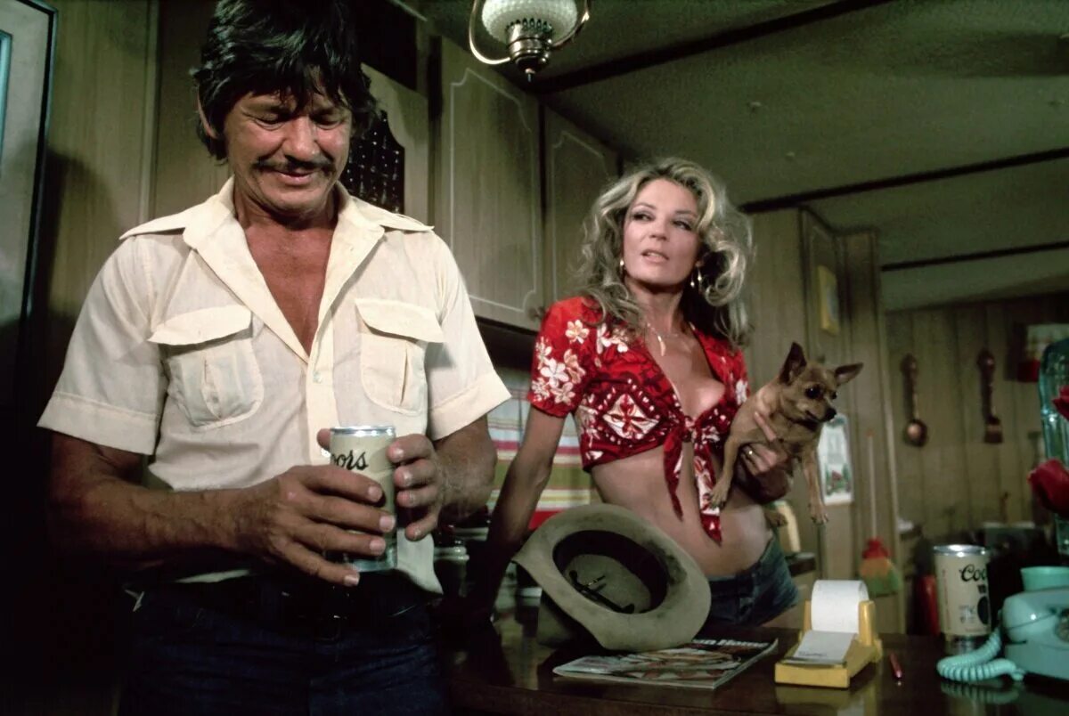 побег из 70х игра. клэнси браун побег из шоушенка. Gj,tu bp jieityrf. побег из шоушенка the shawshank redemption 1994 энди дюфрейн. побег 70 игра.