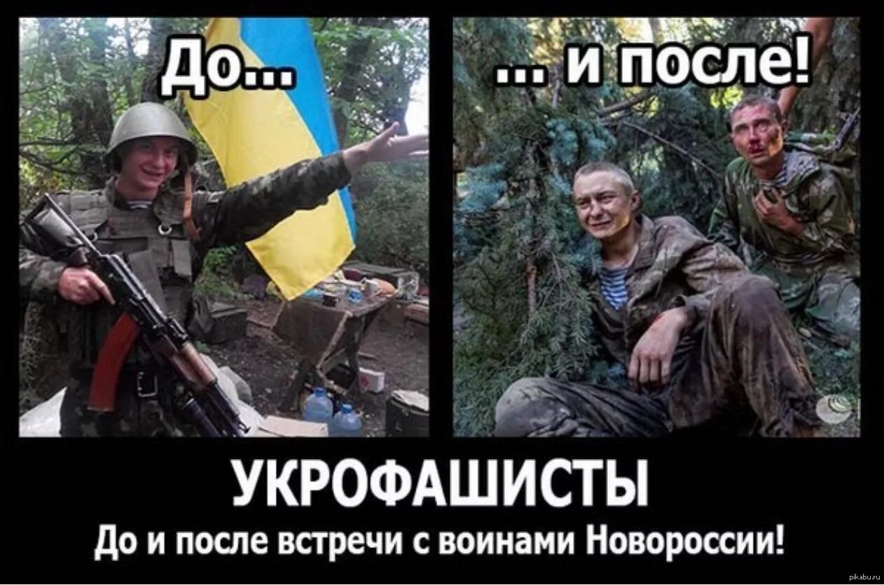 Алиса эй хохлы. Демотиваторы про войну с Украиной. Мемы про ВСУ Украины. Демотиваторы про украинцев.