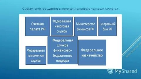 Субъекты контроля государственной власти