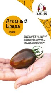 Томат атомный виноград бреда урожайность