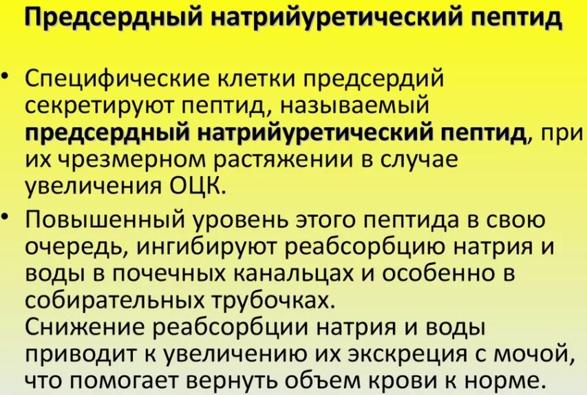 Пептид 32 мозга натрийуретический что это значит. BNP натрийуретический пептид норма. Натрийуретический пептид ХСН. Мозговой натрийуретический пептид причины повышения. Предсердный натрийуретический пептид функции.