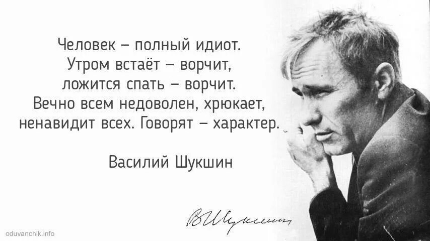 Всегда жил один. Василий Шукшин высказывания о жизни. Василий Шукшин энергичные люди. Василий Макарович Шукшин фразы. Василий Шукшин ни ума ни правды.