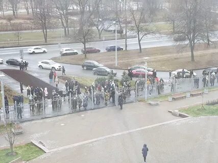 Питер заминировали