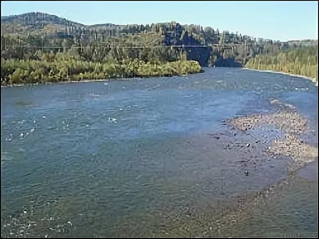 Вода в реке бия. Река Ашкадар в Стерлитамаке.