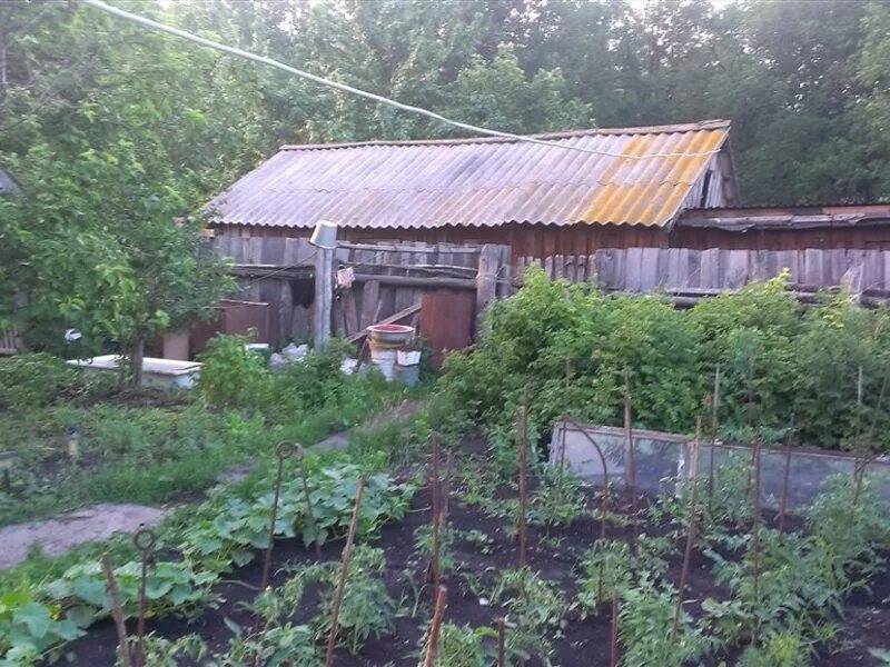 погода зеленая роща ульяновская обл