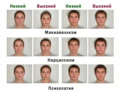 Внешние черты типов личности Edacept.ru