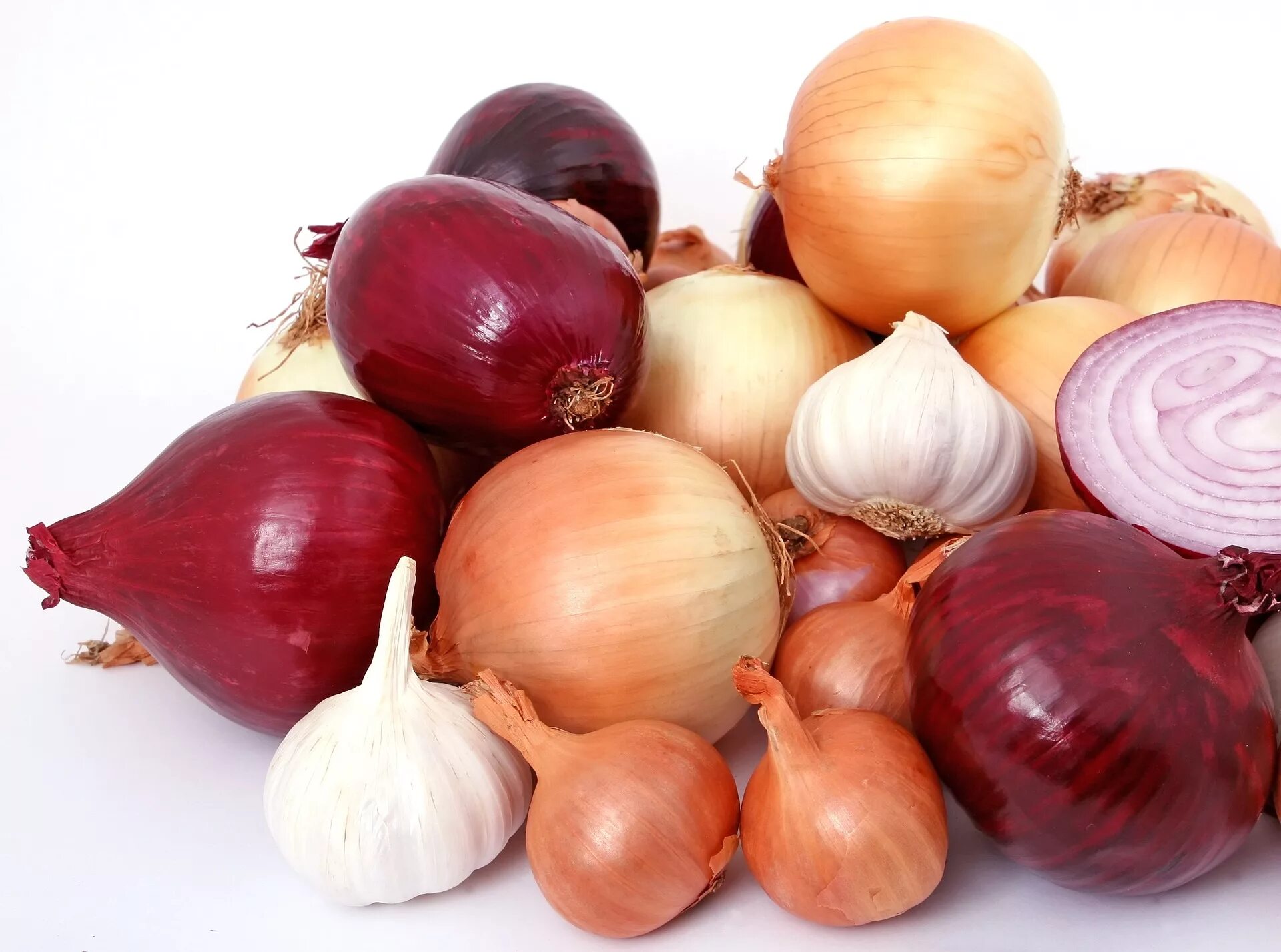 Mixed onion. Лук севок шалот. Лук репчатый севок. Севок Розанна. Лук, чеснок, луковичные 1кг Кимира.