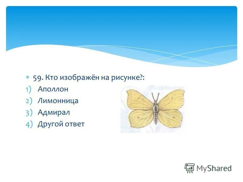 Тест по теме насекомые 7 класс. Проверочная работа по теме насекомые 2 класс. Проверочная работа по теме насекомые 2 класс. Окружающий мир насекомые. Насекомые 1 класс окружающий мир задания.