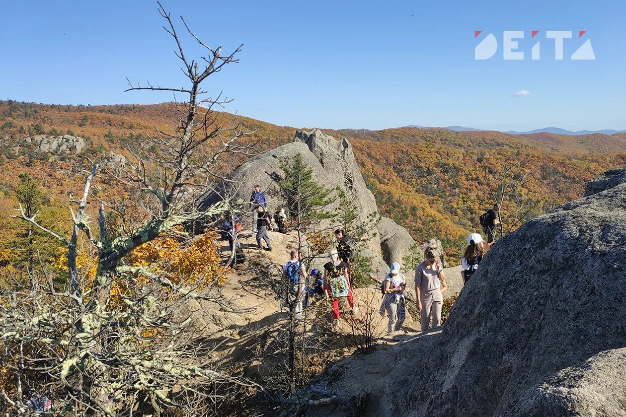 В каком искать краю. Гора Фалаза прим край. Приморье восхождение на Фалазу. Фалаза Трейл. Граница Приморского и Хабаровского.