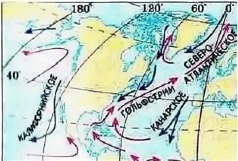 Тёплые и холодные течения Северной Америки. Течения Северной Америки. Холодное течение Северной Америки.