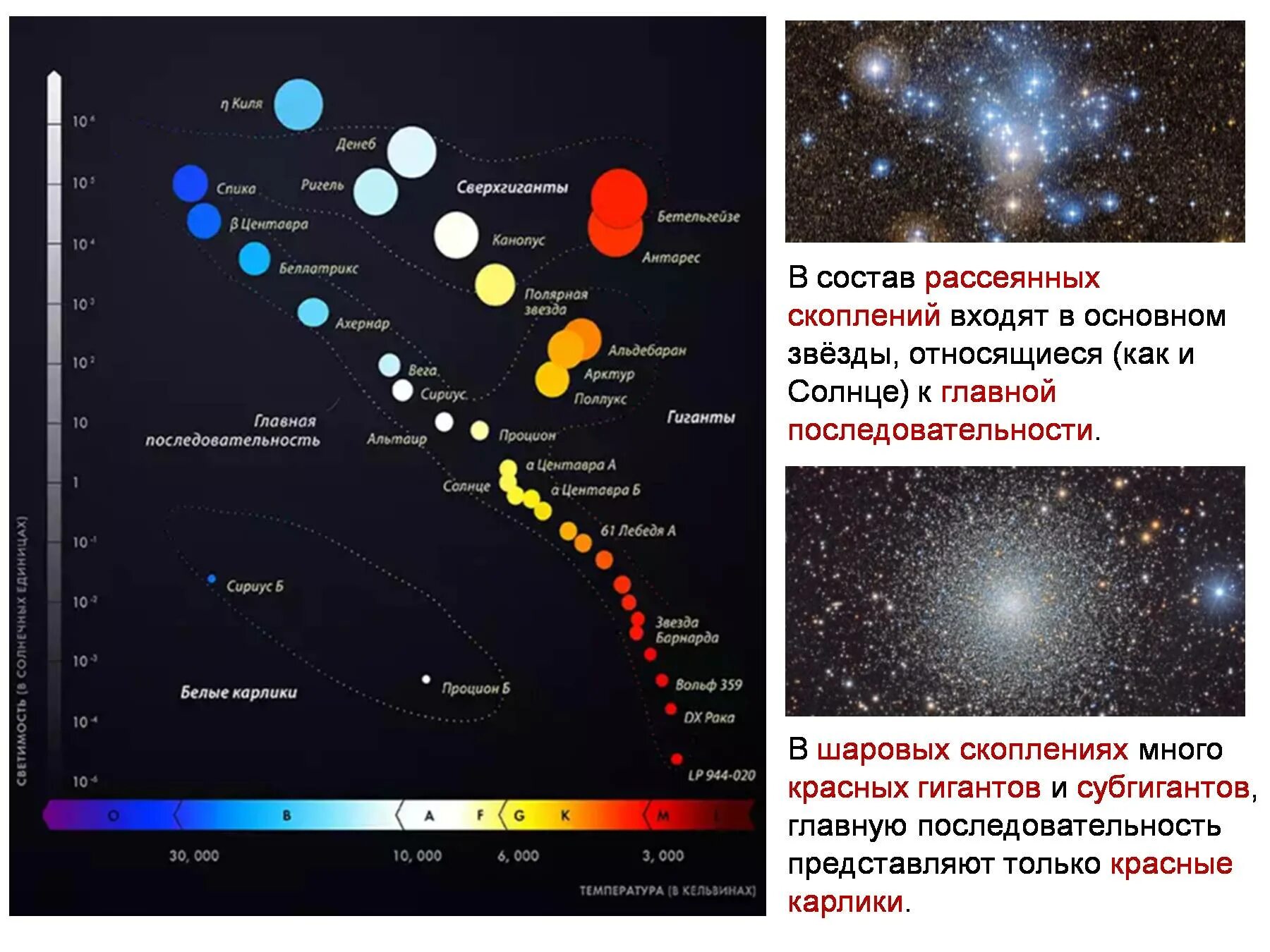 Какие звезды относятся к красным звездам. Классификация звезд диаграмма Герцшпрунга-Рассела. Главная последовательность звезд. Звезды относящиеся к главной последовательности. Звёзды главной последовательности красный гигант.