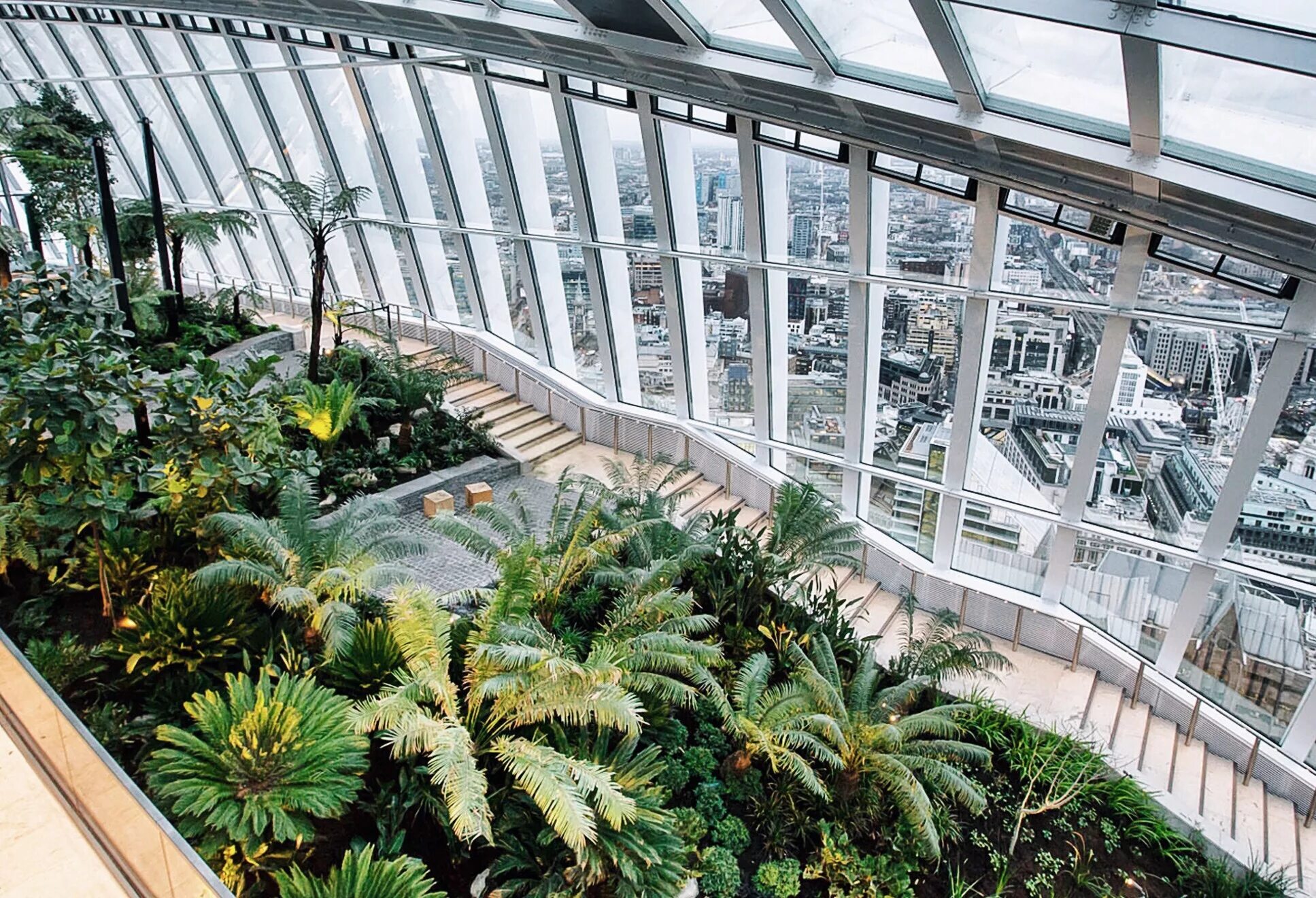 оранжерея мп узс. сад в аэропорту сингапура. оранжерея парк горького. Muttart оранжерея, эдмонтон. оранжерея в нескучном саду.