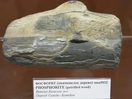 Фосфориты страны