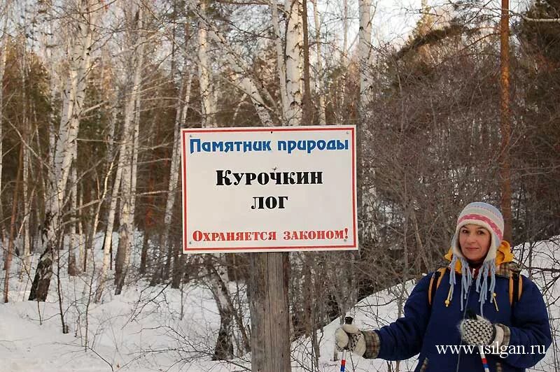 Прогноз вишневогорск. Прогноз вишневогорск