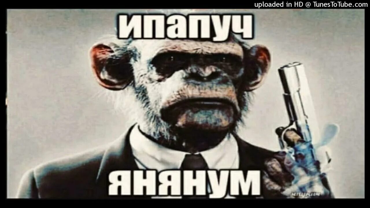 Чупапи муняню чупапи муняне чупапи муняню. Чупапи муняне. чупапи муняню обезьяна. чупапимуняню мем.