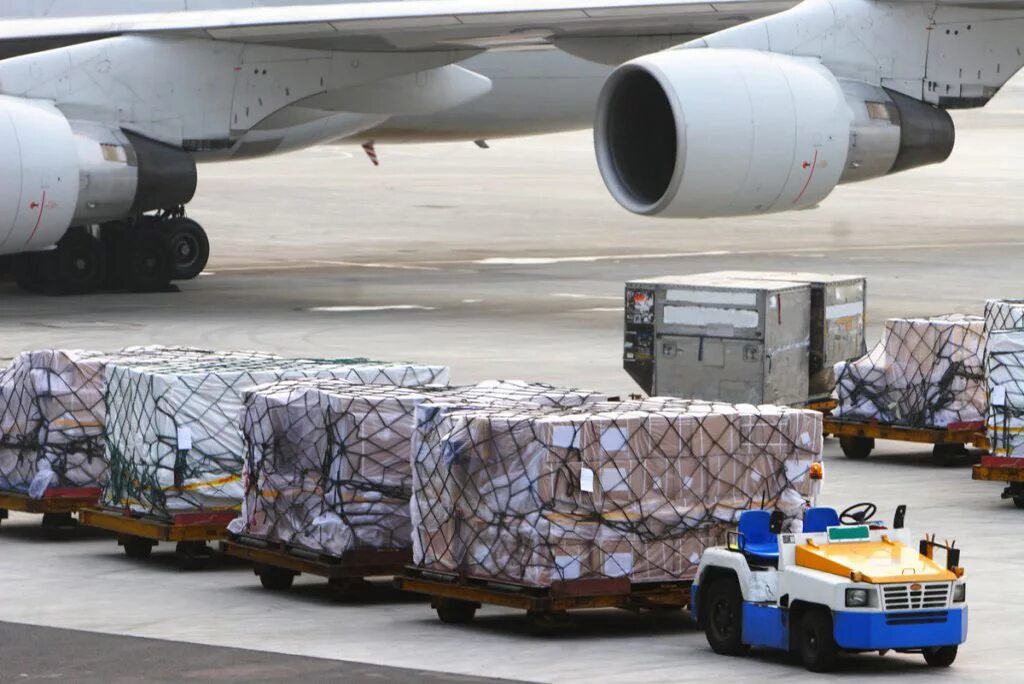 Воздушный транспорт грузовой. Карго самолет. Самолет с грузом. 787 cargo. Воздушный транспорт грузовой.