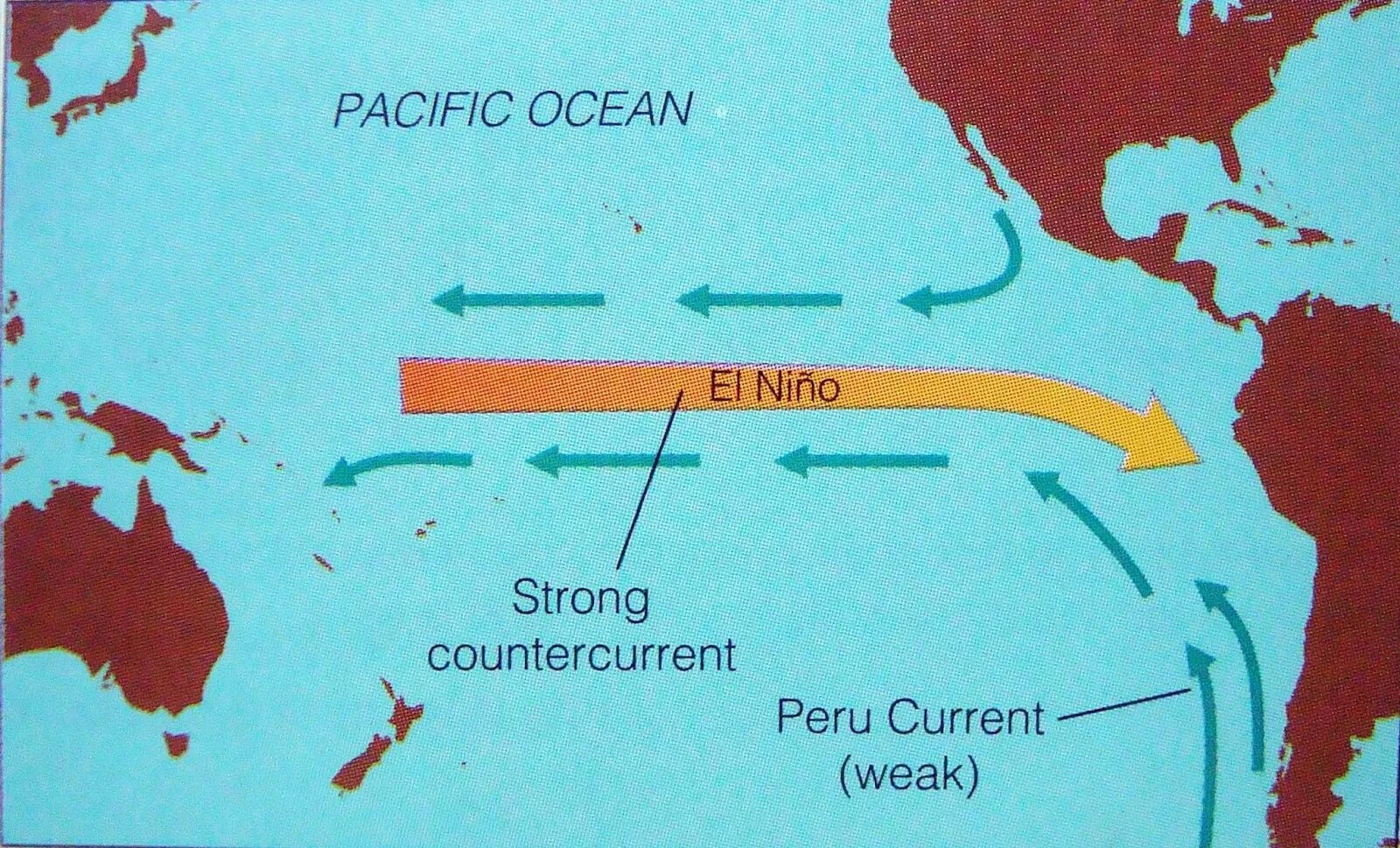 Направление течения Эль Ниньо. Направление течения Эль Ниньо в Южной Америке. Эль Ниньо перуанское течение. Течение Эль-Ниньо тихий океан.