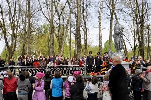 Погода кощино на 10 дней