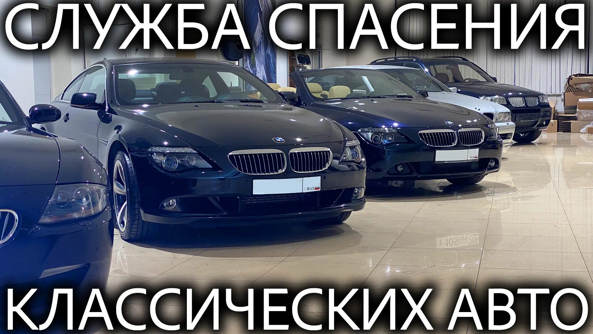 АВТОРЕВИЗОРРО. АВТОРЕВИЗОРРО контакты. AVTOREVIZORRO фото. Авторевизорро купить авто