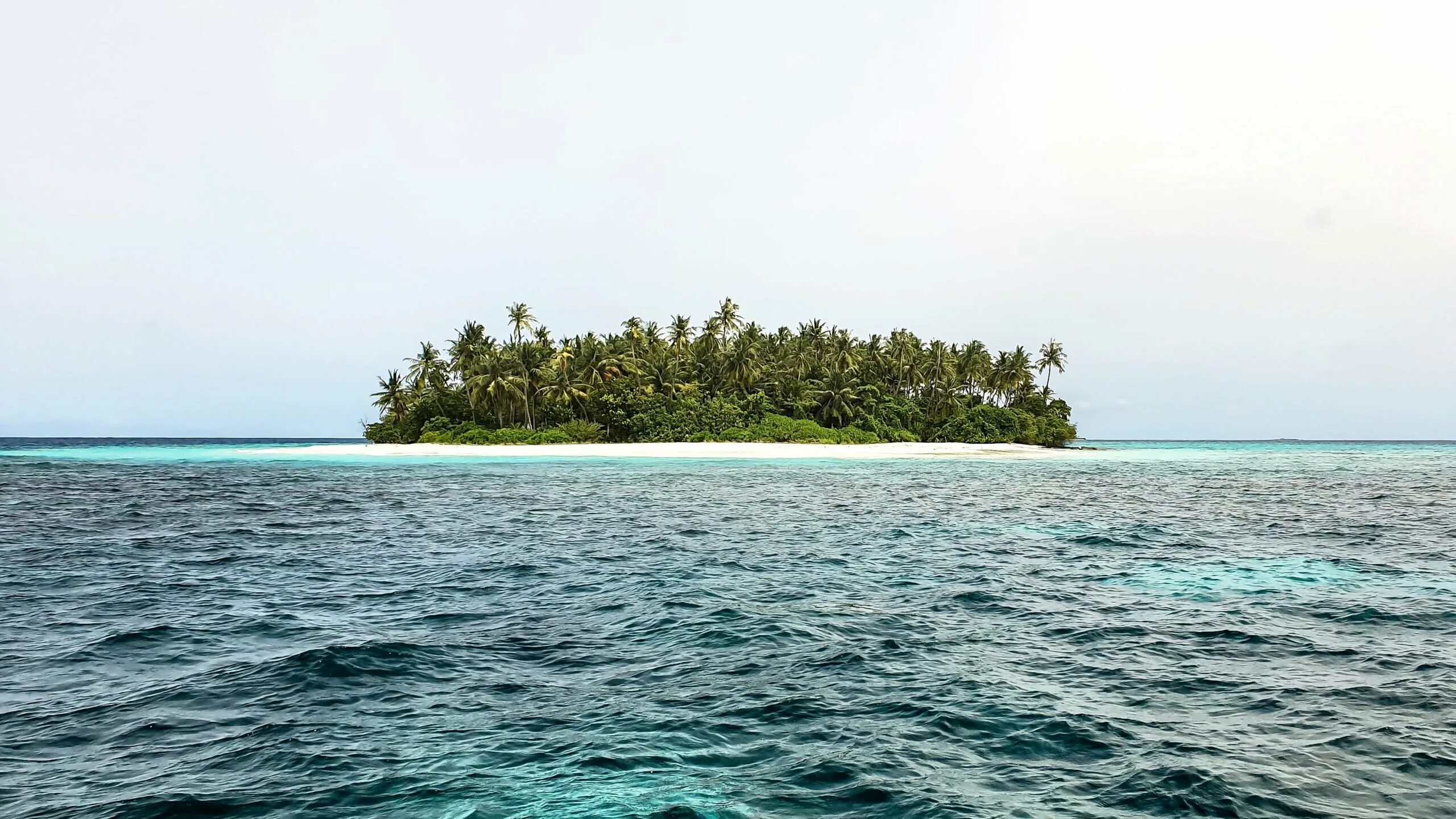 Плотный остров. Необитаемые острова. Необитаемые острова Тихого океана. Необитаемый остров фото. Мальдивы необитаемые острова.