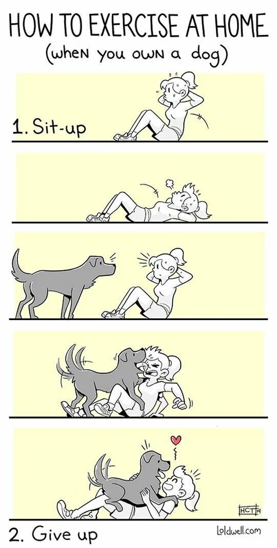 Метапоисковые dogpile. Crypto baby. Dogpill. Dogpill теория. Dogpill.