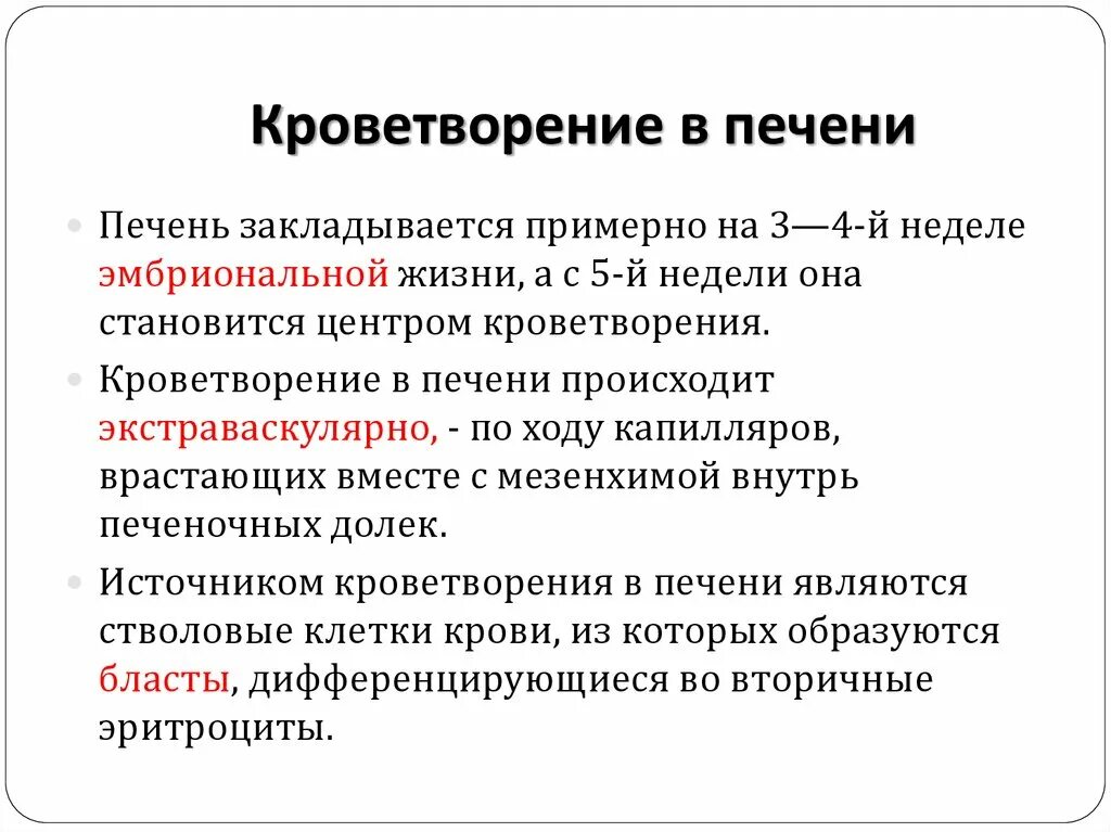 Эмбриональный гемопоэз. Кроветворение в печени гистология. Гемопоэз в печени. Печеночный этап кроветворения. Кроветворение в печени и селезенки.