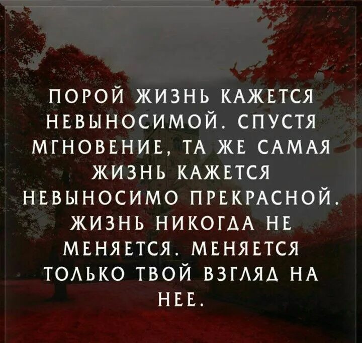 Порой невыносимо. Жизнь порой. Кажется цитаты. Цитаты про сложную жизнь. Мой взгляд на жизнь цитаты.