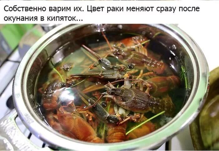 Сколько варить рака живого по времени. Сколько варить рака живого по времени