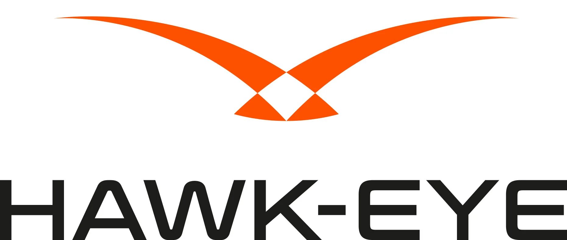 Hawk eye gpo. Закрытый глаз птицы. Зоркий сокол. Hawk-eye system. Goalref и hawk-eye.