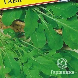 Семена гаршинка интернет. Семена гаршинка интернет