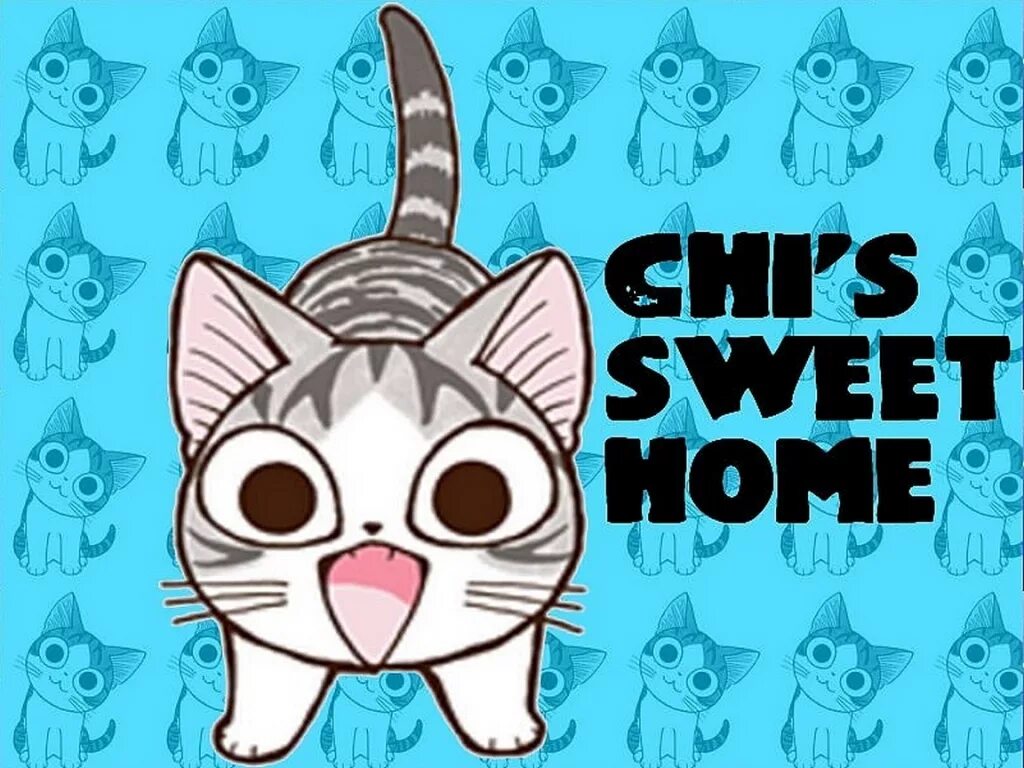Милый дом слушать. Милый дом Чии chi`s Sweet Home. Котенок Чии. Милый дом котики.