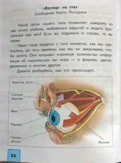 Окружающий мир 4 класс 52 58