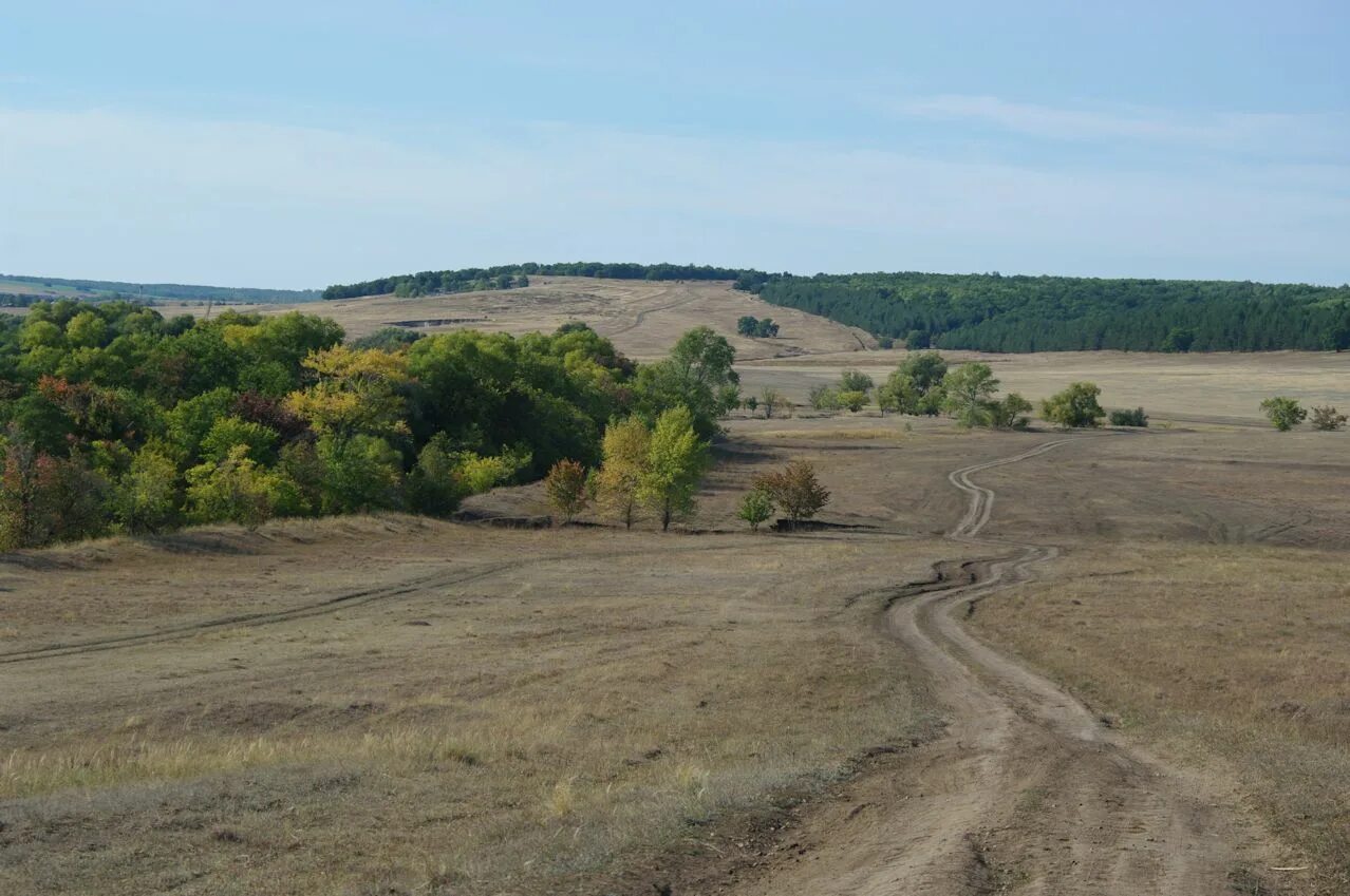 Покупка саратовской области. Саратовская область Лысогорский район село ключи деревня. Чадаевка Лысогорского района Саратовской области. Новая красавка Лысогорского района. Липовка Лысогорский район Саратовская область.