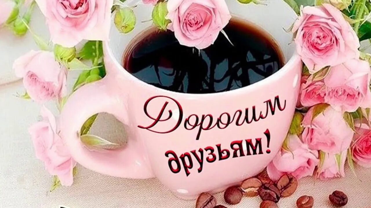 Прекрасного дня и бодрого настроения. Доброе утро и отличного настроения. прекрасного дня и отличного настроения. доброе утро прекрасного дня. доброе утро прекрасного настроения.