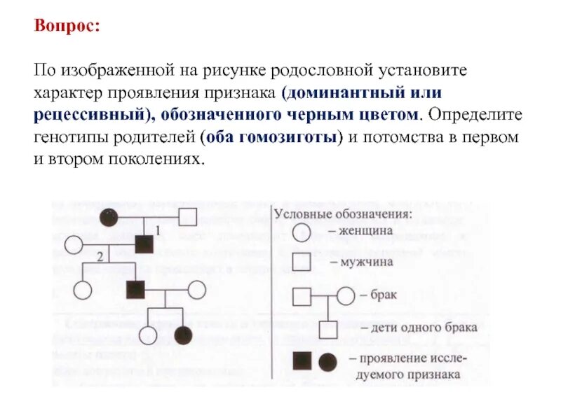 Определите вероятность в процентах появления рецессивной. Родословная по признаку. Задания на родословную ЕГЭ. Задание на рисунке родословной. Задача на родословную ЕГЭ.