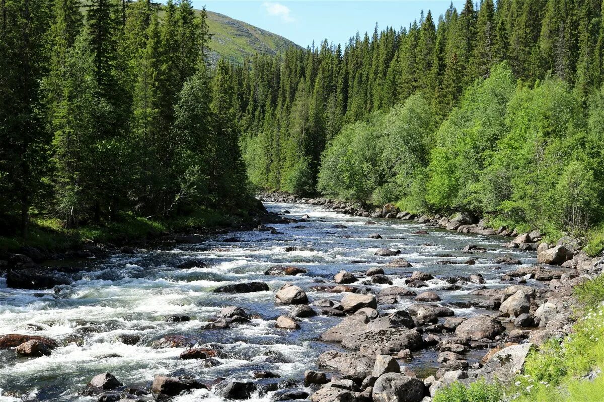 River get