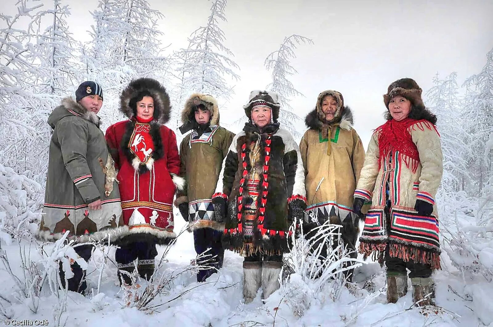 Родное коренное. Юкагиры чуванцы. Юкагиры народы Сибири. Юкагиры группа семья. Малый Сибирский народ юкагиры.