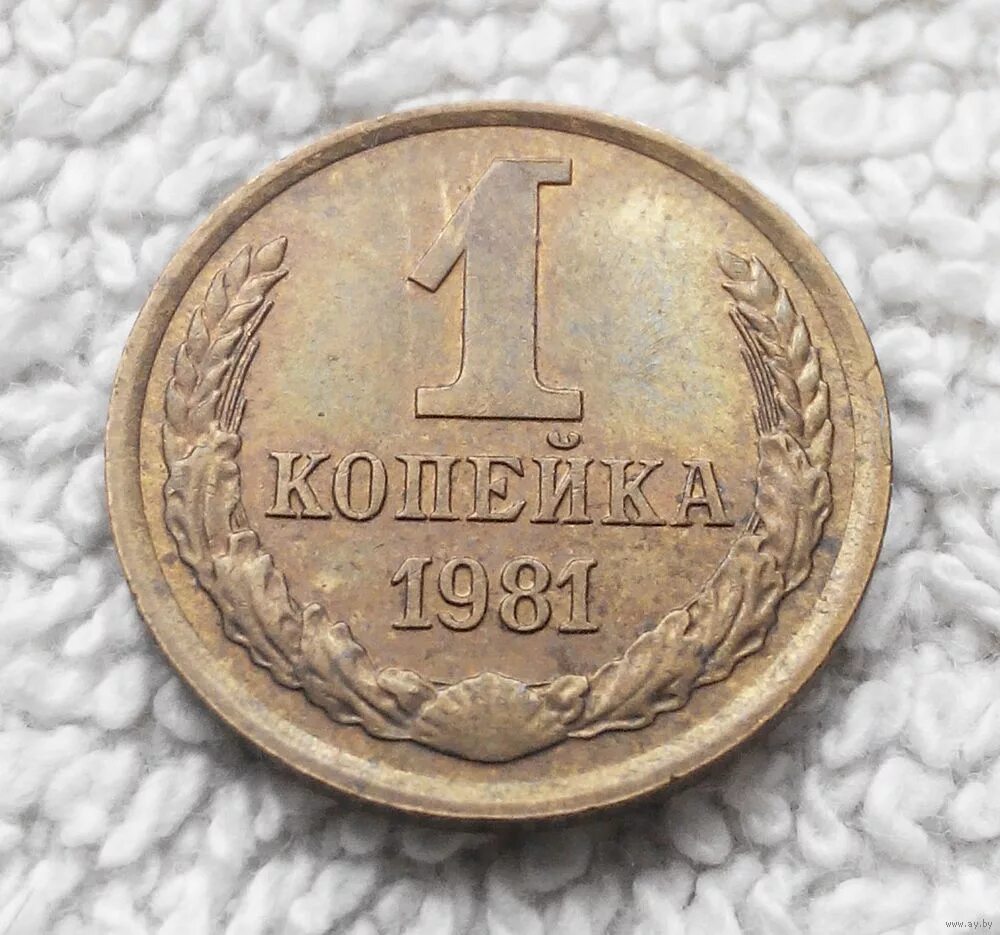 Монета "1 копейка 1961 года". Монета 1 копейка СССР 1981 года. Монетка 1 копеек 1961. 1 Копейка СССР 1961.