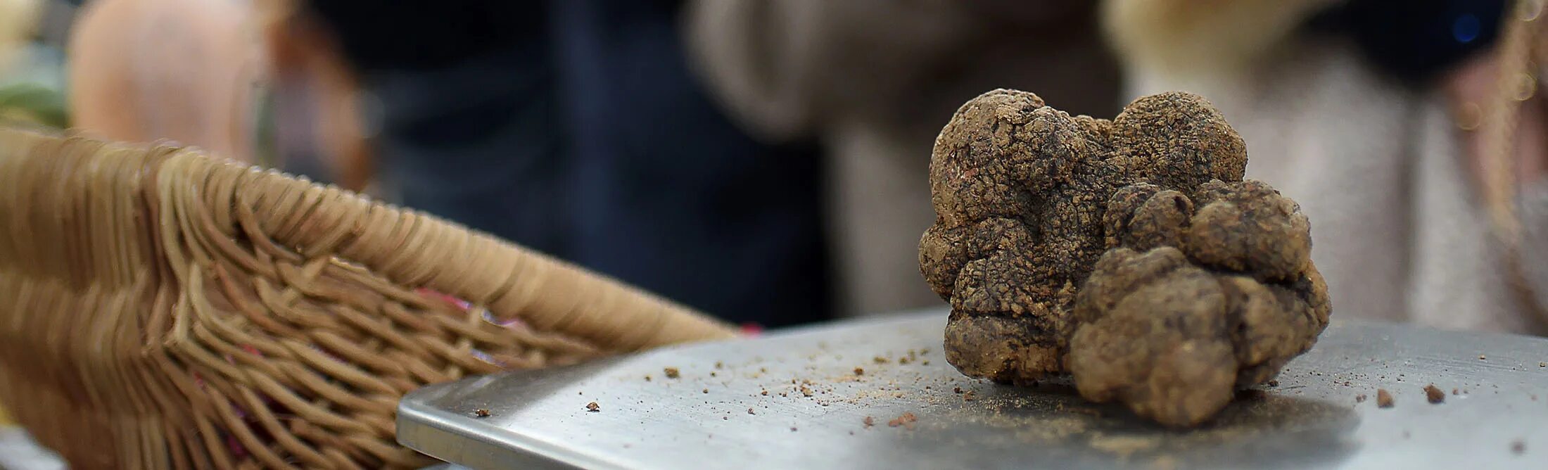 How to get truffle worms fisch