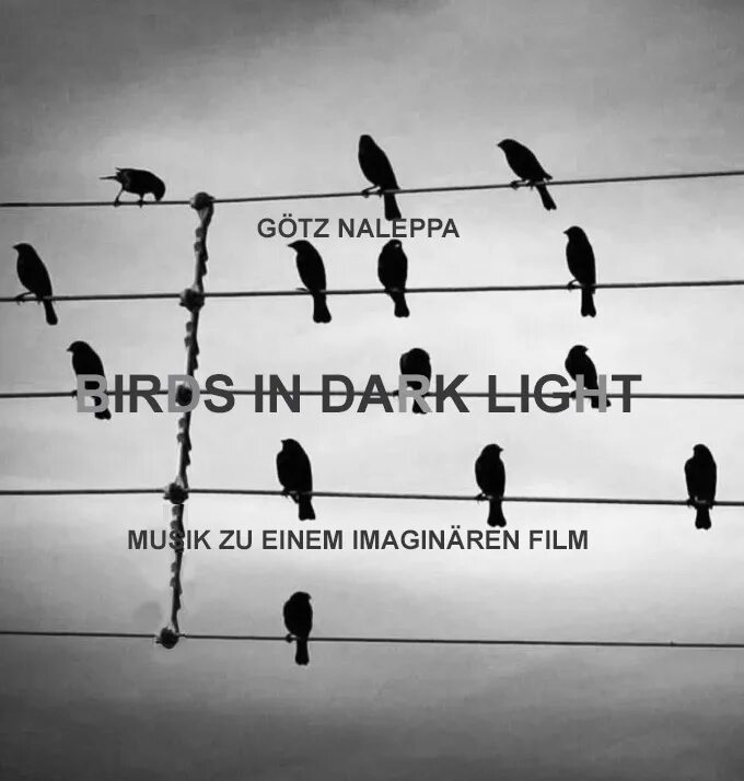 Песня two birds on a wire. Птицы на проводе. Птицы на проводах как Ноты. Two Birds on a wire. Кеды на проводах.