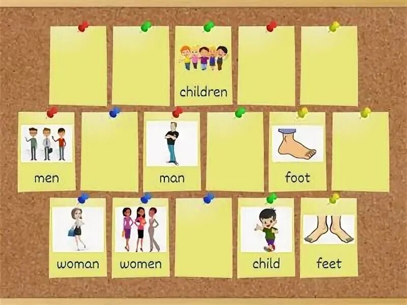 Irregular plurals Spotlight 3. Plurals Spotlight 3 упражнения. Spotlight 3 plurals презентация. Plurals Spotlight 3 Wordwall. Wordwall plural 3