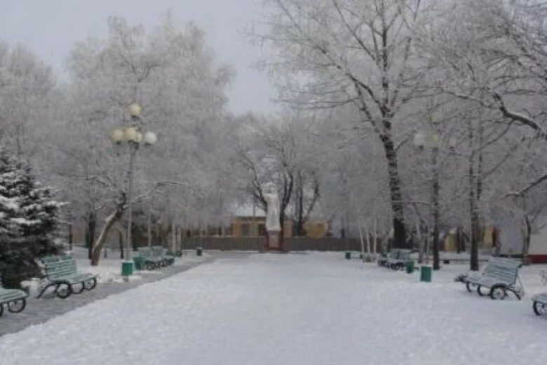 Погода в новошахтинске на месяц. Парк города новошахтинска. парк новошахтинск зимой. зима в новошахтинске. новошахтинск центральный парк.