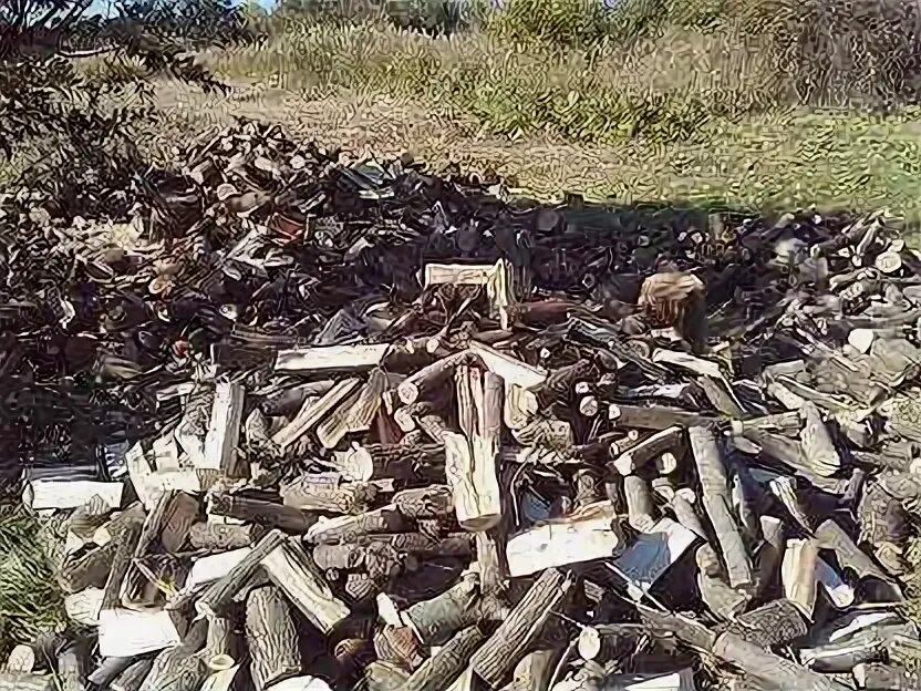 Дрова калуга. Дрова калуга. Дрова калуга. Дрова калуга. Два куба дров береза.