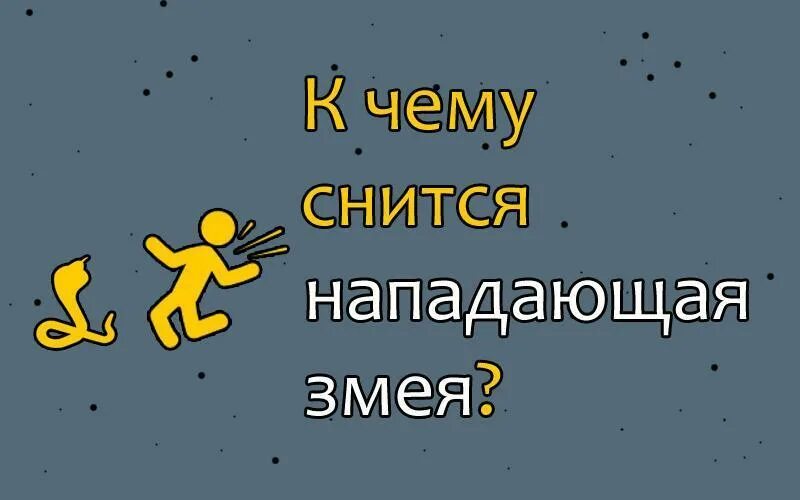 Видеть нападение. Приснилась змея которая нападает. К чему снится наподавшая змея. Сонник к чему сниться бросающаяся змея?.