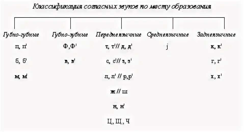 Ива из каких звуков состоит. Классификация звуков речи. Классификация звуков в физике. Классификация шумов. Классификация звуков по месту образования.