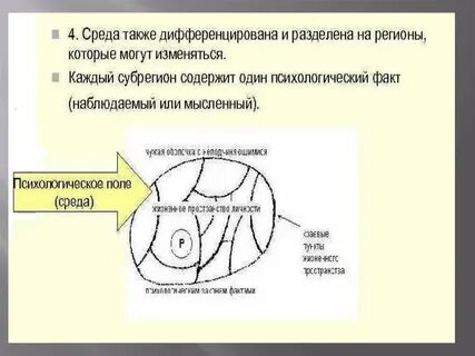 Теория поля курт