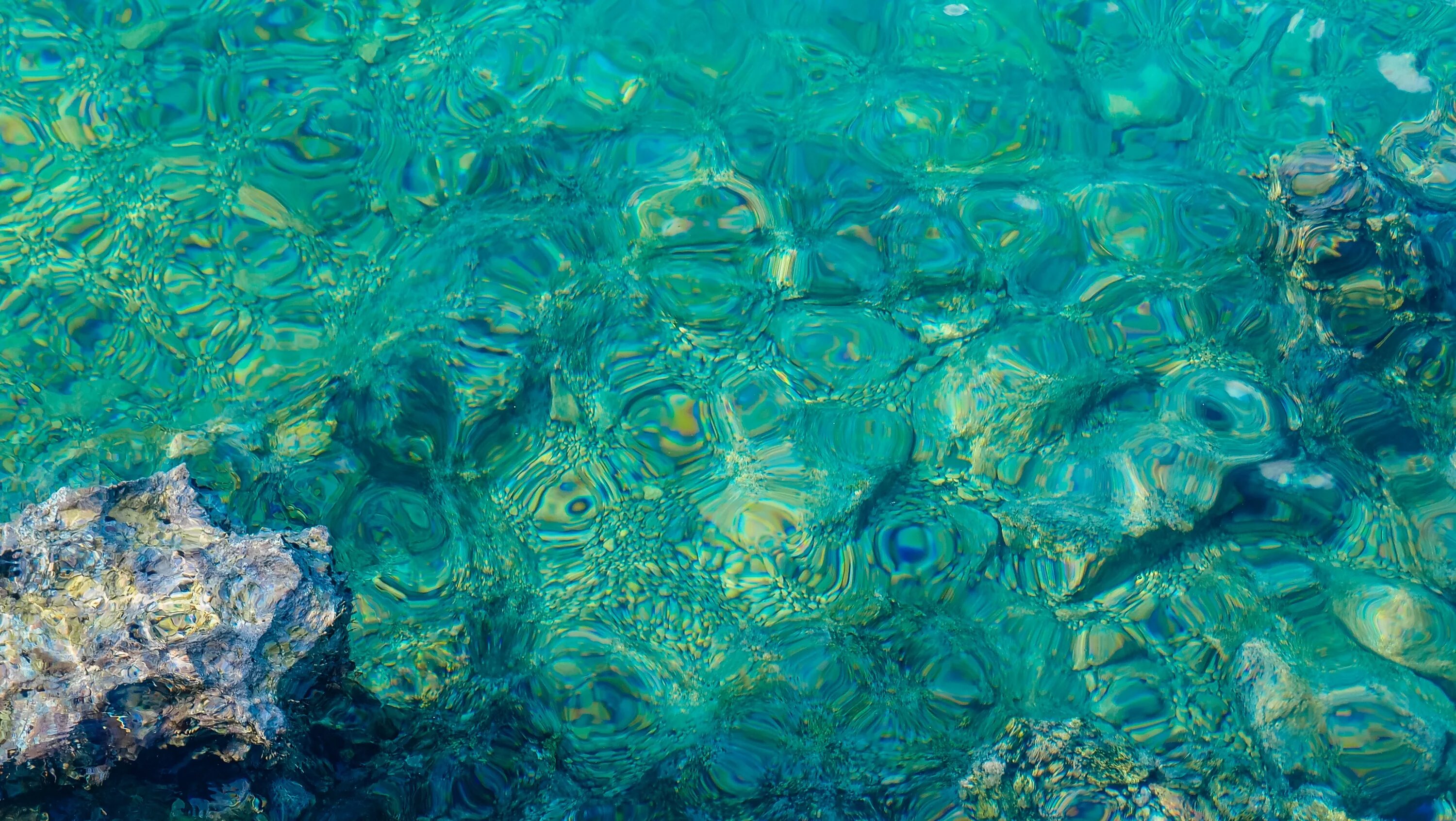 В воде рыбы водоросли. Прозрачное море. Морское дно. Голубая прозрачная вода. Речное дно.